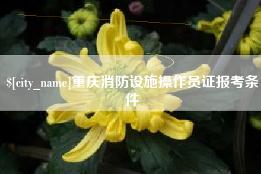 鄄城重庆消防设施操作员证报考条件