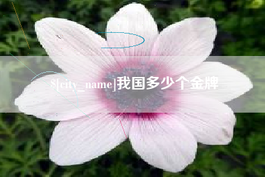 鄄城我国多少个金牌