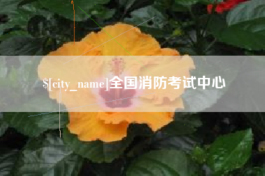 鄄城全国消防考试中心
