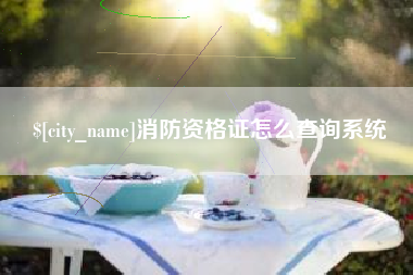 鄄城消防资格证怎么查询系统