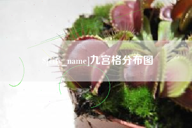 鄄城九宫格分布图