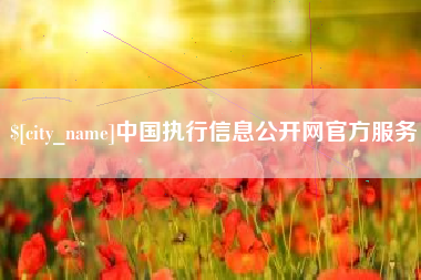 鄄城中国执行信息公开网官方服务
