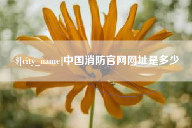 鄄城中国消防官网网址是多少