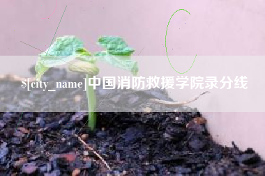 鄄城中国消防救援学院录分线