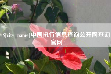 鄄城中国执行信息查询公开网查询官网