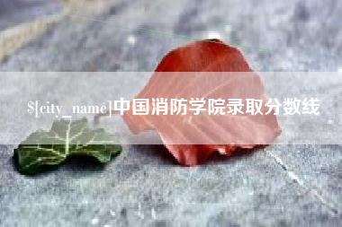 鄄城中国消防学院录取分数线