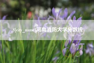 鄄城河南消防大学分数线