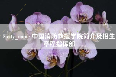 鄄城中国消防救援学院简介及招生章程指挥部