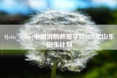 鄄城中国消防救援学院2021年山东招生计划