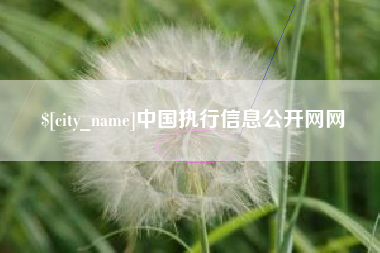 鄄城中国执行信息公开网网