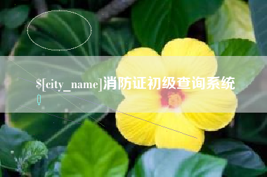 鄄城消防证初级查询系统