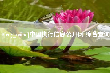 鄄城中国执行信息公开网 综合查询