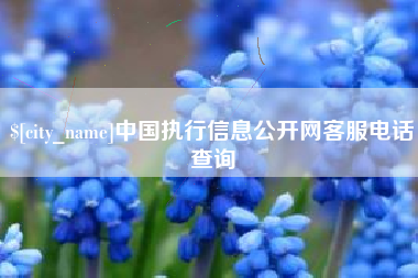 鄄城中国执行信息公开网客服电话查询