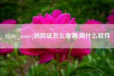鄄城消防证怎么查询,用什么软件