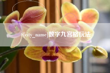 鄄城数字九宫格玩法