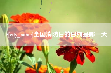 鄄城全国消防日的日期是哪一天