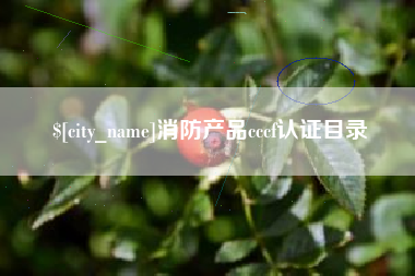 鄄城消防产品cccf认证目录