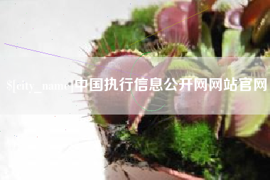 鄄城中国执行信息公开网网站官网