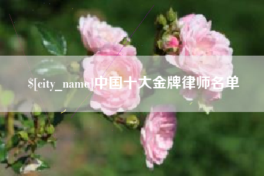 鄄城中国十大金牌律师名单