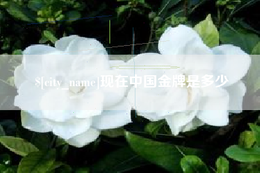 鄄城现在中国金牌是多少
