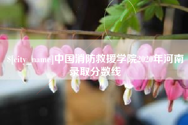 鄄城中国消防救援学院2020年河南录取分数线