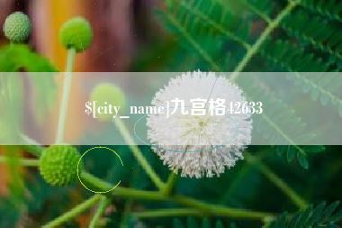 鄄城九宫格42633