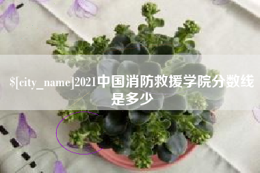 鄄城2021中国消防救援学院分数线是多少