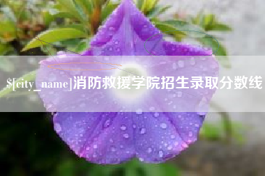 鄄城消防救援学院招生录取分数线