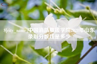 鄄城中国消防救援学院2021年山东录取分数线是多少
