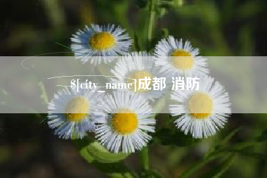 鄄城成都 消防