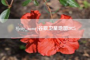鄄城谷歌卫星地图2025