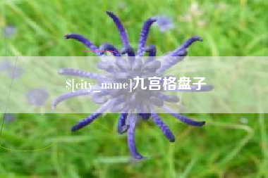 鄄城九宫格盘子