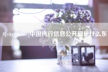 鄄城中国执行信息公开网是什么东西