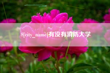 鄄城有没有消防大学
