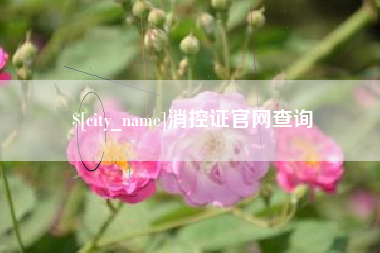 鄄城消控证官网查询