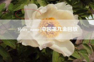 鄄城中国第九金回放
