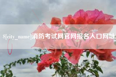 鄄城消防考试网官网报名入口网址