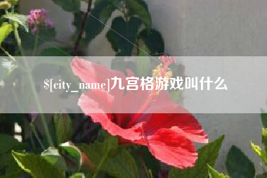 鄄城九宫格游戏叫什么