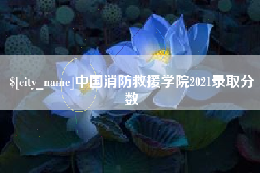 鄄城中国消防救援学院2021录取分数