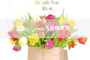 鄄城九宫格牌子
