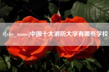 鄄城中国十大消防大学有哪些学校