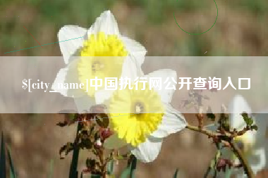 鄄城中国执行网公开查询入口