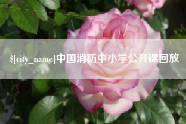 鄄城中国消防中小学公开课回放