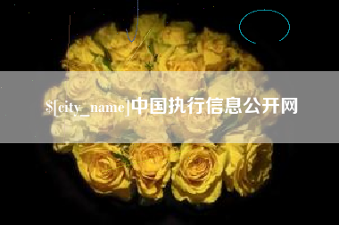 鄄城中国执行信息公开网