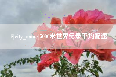 鄄城5000米世界纪录平均配速
