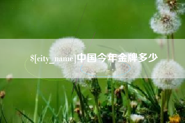 鄄城中国今年金牌多少