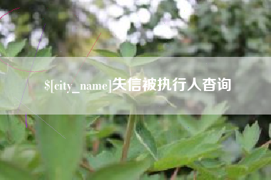 鄄城失信被执行人杳询