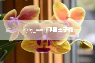 鄄城邱县王子磊