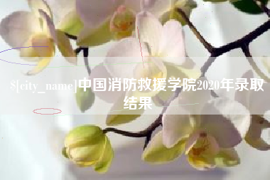 鄄城中国消防救援学院2020年录取结果