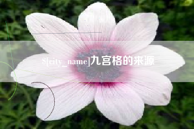 鄄城九宫格的来源